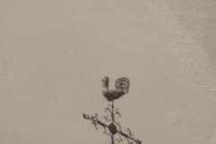 IMG_7869-scaled